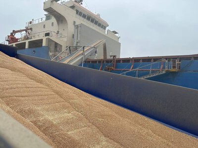  Агрохолдинг Agromino планирует продать зерновой терминал и склады в порту Черноморск 