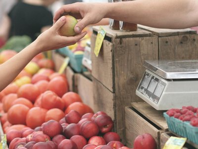  Это закон экономики: Шаккалиев высказался о подорожании продуктов 