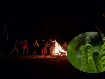 Каждый год его ищут в ночь на Купалу: что на самом деле известно о цветке папоротника