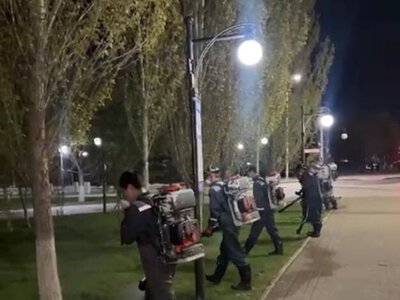 В Астане стартовал третий тур дезинсекционных работ против комаров
