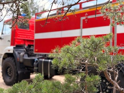 В Бурабае оперативно ликвидировали лесное возгорание благодаря системе раннего обнаружения пожаров «Smart»