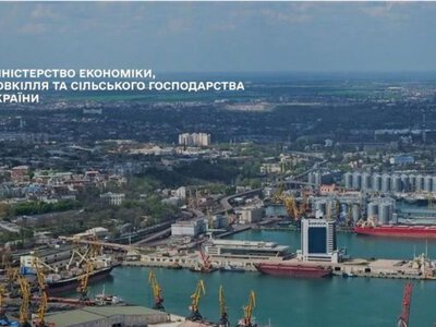 В этом году украинский агроэкспорт уже вышел на 23 новых рынка