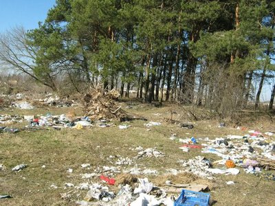 51 тысяча гривен штрафа и тюрьма за вывоз мусора в лес: кого будут наказывать