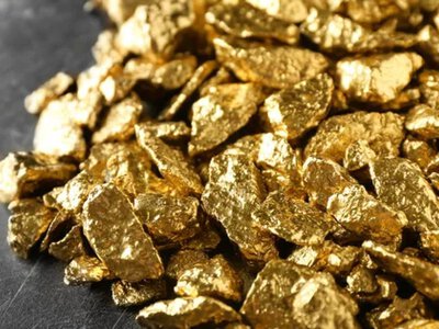 Сын Патрушева получил одно из крупнейших в России месторождений золота