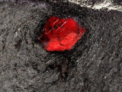 Внутри метеорита с Марса нашли драгоценность: такие не встречаются на Красной планете (фото)