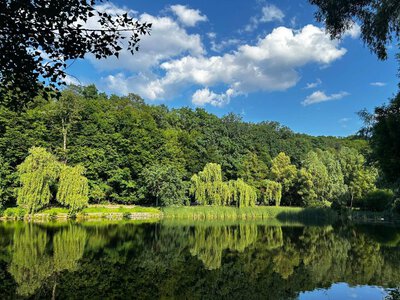 Україну в п’ятницю прогріє до +27°, подекуди можливі короткочасні дощі