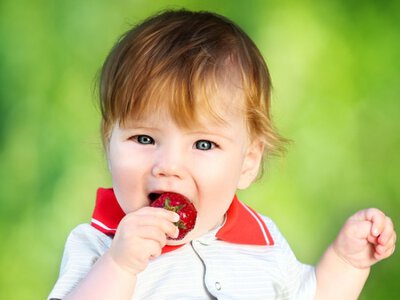 26 рецептов из клубники: успейте полакомиться летней ягодой