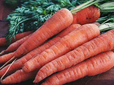 Морковь бьет ценовые рекорды