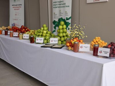 В Алматинской области запущен завод по глубокой переработке фруктов и овощей мощностью 70 тысяч тонн в год