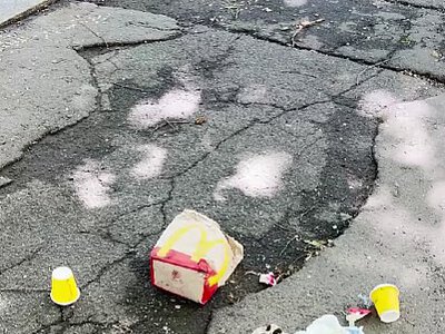 Николаевцы выяснили, кто разбрасывает мусор в центре города (видео)