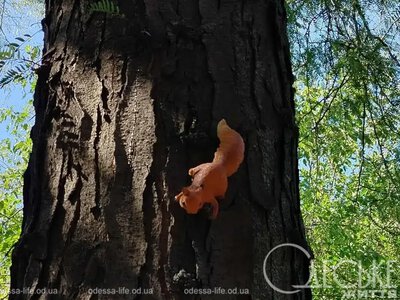 В Одессе 21 июня установится сухая летняя погода