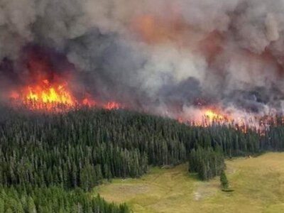 У Сибіру горить майже 150 тисяч га лісу
