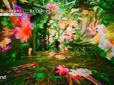 Google анонсировала Dataland: первый AI-музей, который реагирует на биометрию посетителей в реальном времени