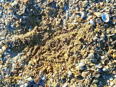 Под песком скрывается опасность: эколог рассказал о состоянии Черного моря у Одессы