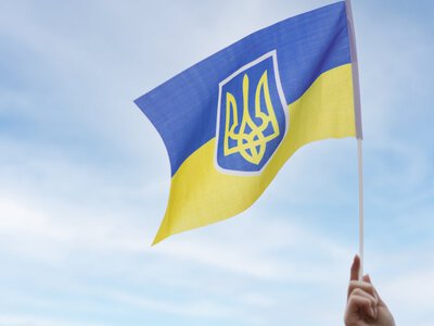 Бизнес-климат или имитация? Что мешает Украине стать новым экономическим тигром