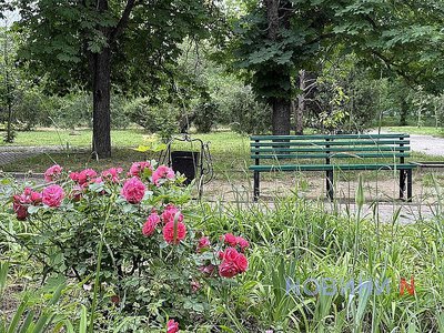 Поверхность почвы раскалялась до +65°C: синоптики рассказали о погодных особенностях июня в Николаевской области