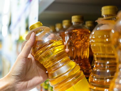  В Николаевской области модернизируют масличный завод с расширением переработки до 350 тонн в сутки 