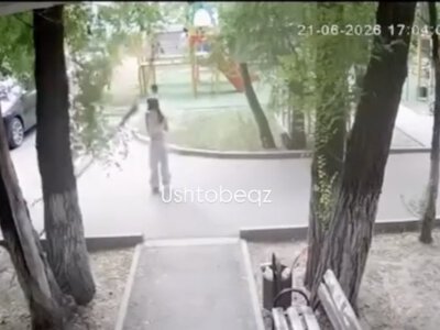  В Уштобе девушку госпитализировали после падения сухой ветки во дворе дома 