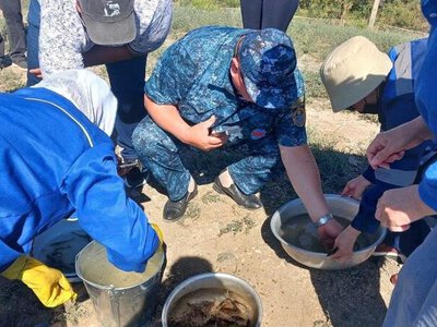 Более 1 млн штук молоди осетровых видов рыб выпустили в реку Жайык