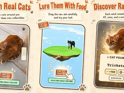 В Google Play появилась игра, где нужно собирать уличных котов: как работает CatchCat