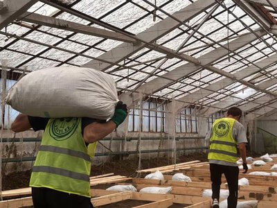  «Agro Eco Hub: создание демонстрационной теплицы с 100 видами растений через волонтерские экопрактики»
