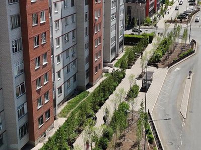 Озеленение и модернизация инфраструктуры: в районе Сарыарка ведутся работы по современному благоустройству