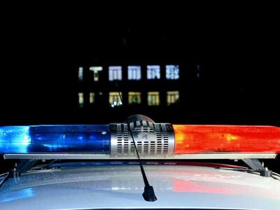 Участников свадебного кортежа привлекли к ответственности в области Абай
