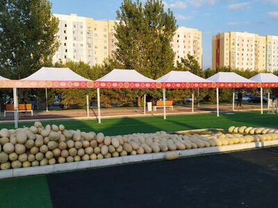 В Алматы пройдет сельскохозяйственная ярмарка производителей Таджикистана