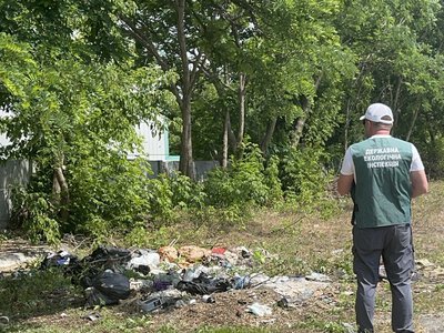 У Запорізькому районі виявили кілька осередків засмічення на 120 м²
