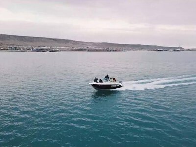 На страже природы: как в Мангистау сохраняют богатство региона