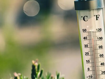 Почему ваш домашний термометр показывает неверные цифры: разбор ошибок и лайфхаки от метеоролога