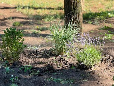 Украли на следующий день после ремонта: в сквере Николаева пропали форсунки для полива