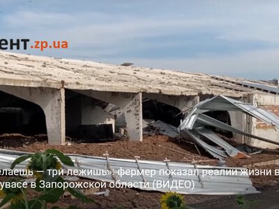 «Шаг делаешь — три лежишь»: фермер показал реалии жизни в Комышувасе в Запорожской области (ВИДЕО)