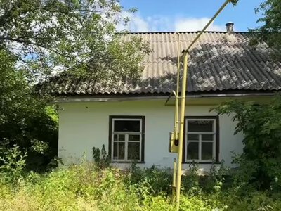 Есть газ и свет: мужчина продает дом в деревне за $3000 — люди возмущены (фото, видео)
