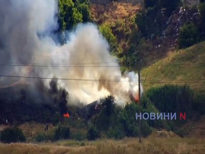 В Николаеве пожар у моста: спасатели борются со стихией (видео)