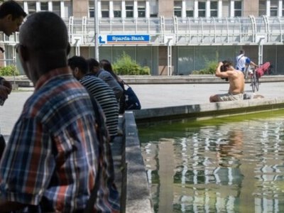 В Германии зафиксировали самую тёплую ночь за всю историю наблюдений