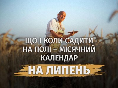 Второй шанс для урожая: что и когда сажать на поле в июле