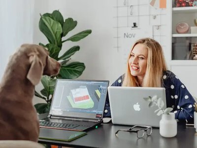 Чи можуть українці брати домашніх тварин на роботу: що каже закон