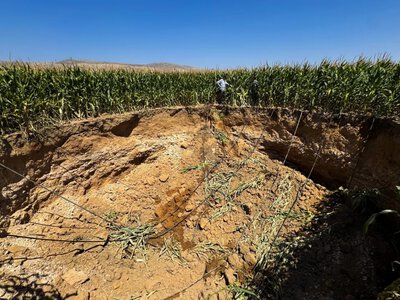 Из-за жары на полях появляются гигантские воронки: они уходят в глубину на десятки метров