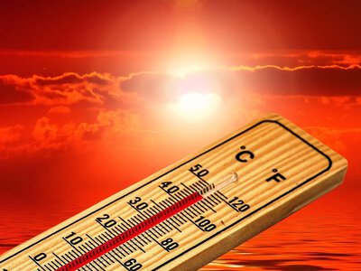 Рекордная жара в Европе стала причиной гибели более 1300 людей