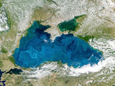 Темные воды Черного моря неожиданно становятся бирюзовыми: что заставляет цвет меняться летом