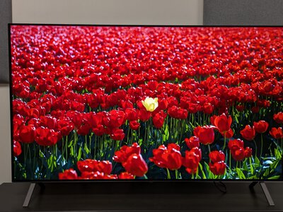 Эксперт назвал лучший OLED-телевизор 2026 года: какая модель LG заслужила высокую оценку (фото)