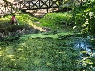Бирюзовый глаз Опилля изменился из-за засухи: ученые исследовали карстовый водоем в Прикарпатье