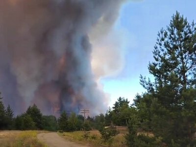 Сильное задымление в зоне ЧАЭС в Киевской области: горящий, - ФОТО