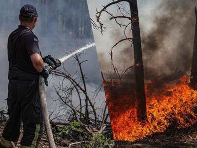 В Чернобыльской зоне горят леса: в Киеве и области загрязненный воздух