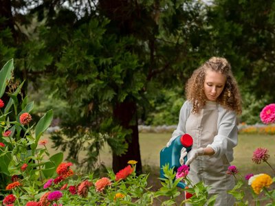 Как сохранить цветущую клумбу в жару: 5 проверенных растений