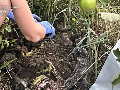 В Чопе обнаружили закопанное тело полуторамесячной девочки: мать задержана