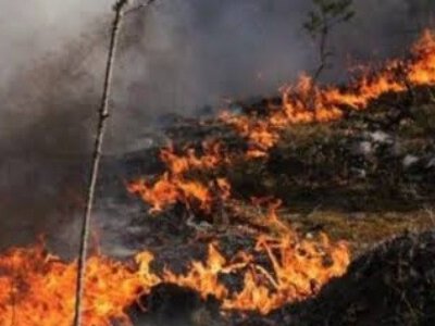 В Киеве и области ухудшилось качество воздуха – названа причина