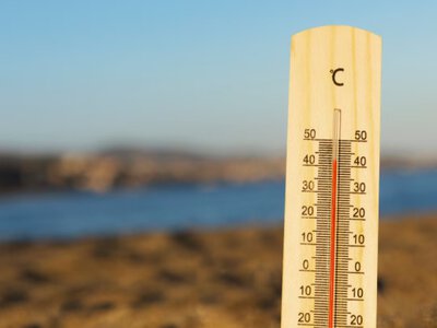  «Мы полностью заполнены»: во Франции не хватает мест в моргах из-за жары 