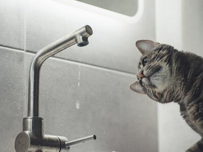 Два микрорайона остались без воды в Николаеве из-за аварийного ремонта